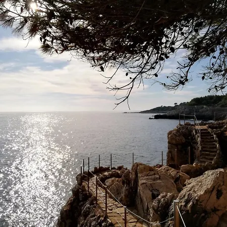 Calm Light And Airy Studio Antibes
